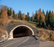 2020 10 10 Northern MN 022